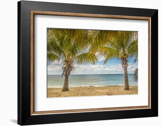 Twin Palms-Mary Lou Johnson-Framed Art Print