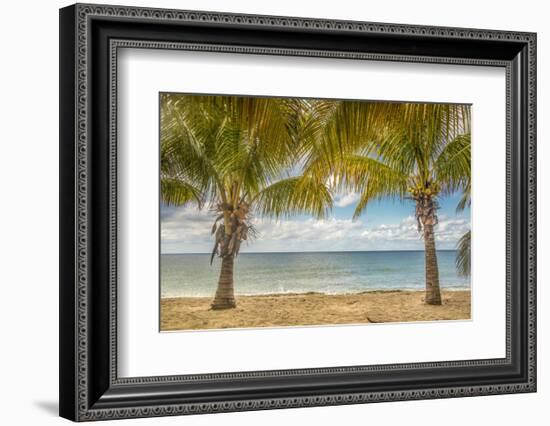 Twin Palms-Mary Lou Johnson-Framed Art Print