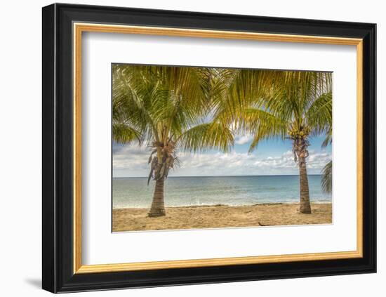 Twin Palms-Mary Lou Johnson-Framed Art Print