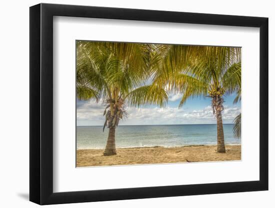 Twin Palms-Mary Lou Johnson-Framed Art Print