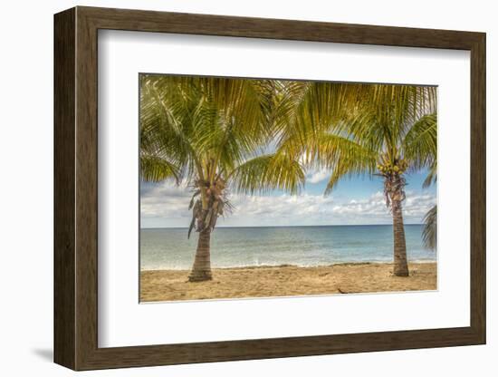 Twin Palms-Mary Lou Johnson-Framed Art Print