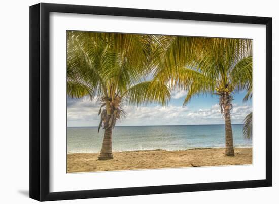 Twin Palms-Mary Lou Johnson-Framed Art Print