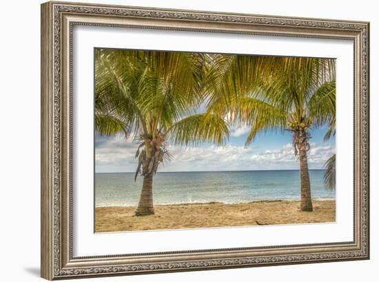 Twin Palms-Mary Lou Johnson-Framed Art Print