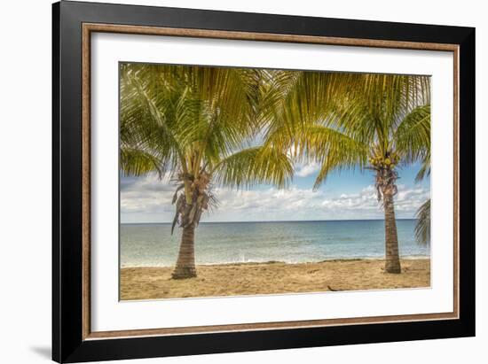 Twin Palms-Mary Lou Johnson-Framed Art Print