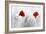 Twin Poppy-Ata Alishahi-Framed Giclee Print