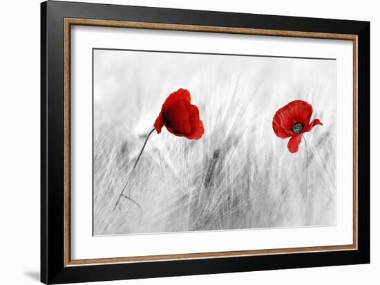 Twin Poppy-Ata Alishahi-Framed Giclee Print