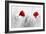 Twin Poppy-Ata Alishahi-Framed Giclee Print