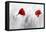 Twin Poppy-Ata Alishahi-Framed Premier Image Canvas