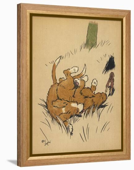 Twin Puppies Fall Over-null-Framed Stretched Canvas