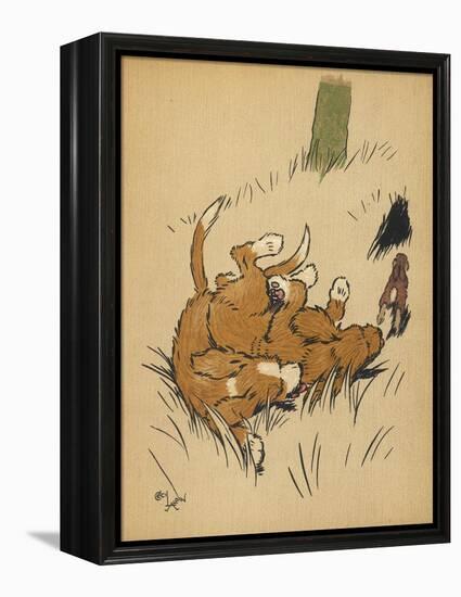 Twin Puppies Fall Over-null-Framed Stretched Canvas