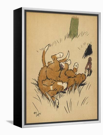 Twin Puppies Fall Over-null-Framed Stretched Canvas