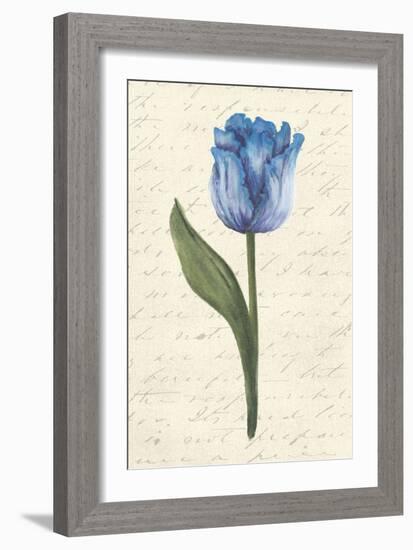 Twin Tulips III-Grace Popp-Framed Art Print