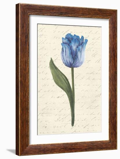 Twin Tulips III-Grace Popp-Framed Art Print