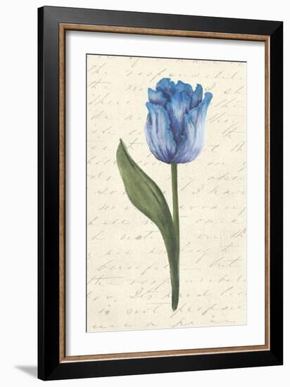Twin Tulips III-Grace Popp-Framed Art Print