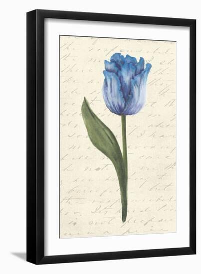 Twin Tulips III-Grace Popp-Framed Art Print