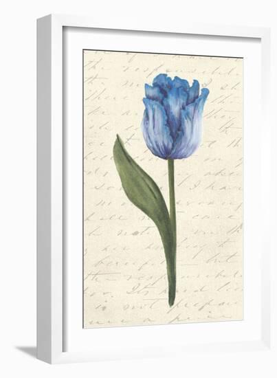 Twin Tulips III-Grace Popp-Framed Art Print