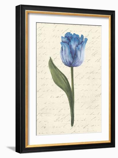 Twin Tulips III-Grace Popp-Framed Art Print