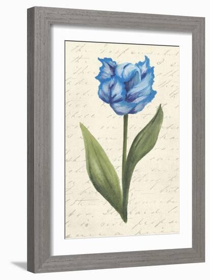 Twin Tulips IV-Grace Popp-Framed Art Print