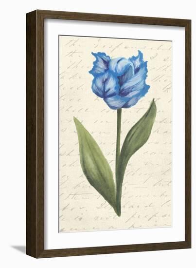 Twin Tulips IV-Grace Popp-Framed Art Print