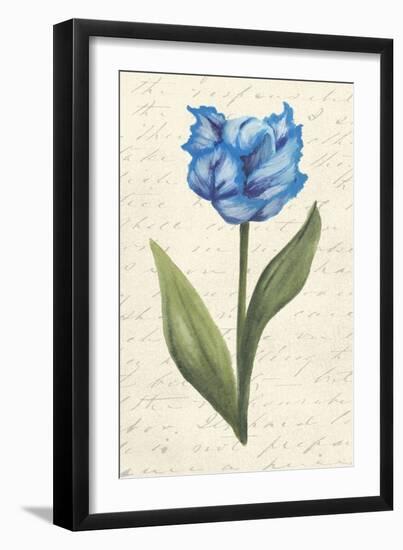 Twin Tulips IV-Grace Popp-Framed Art Print