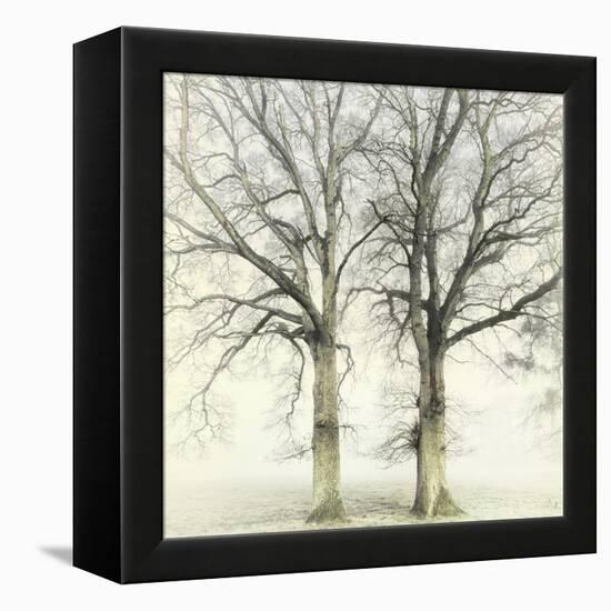 Twin-Viviane Fedieu Daniel-Framed Stretched Canvas