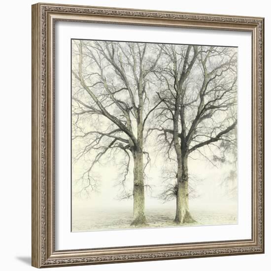 Twin-Viviane Fedieu Daniel-Framed Photographic Print