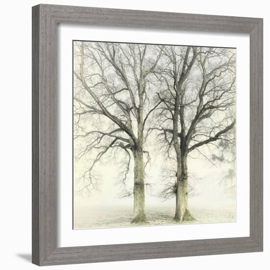 Twin-Viviane Fedieu Daniel-Framed Photographic Print