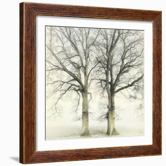 Twin-Viviane Fedieu Daniel-Framed Photographic Print