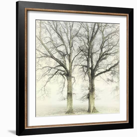 Twin-Viviane Fedieu Daniel-Framed Photographic Print