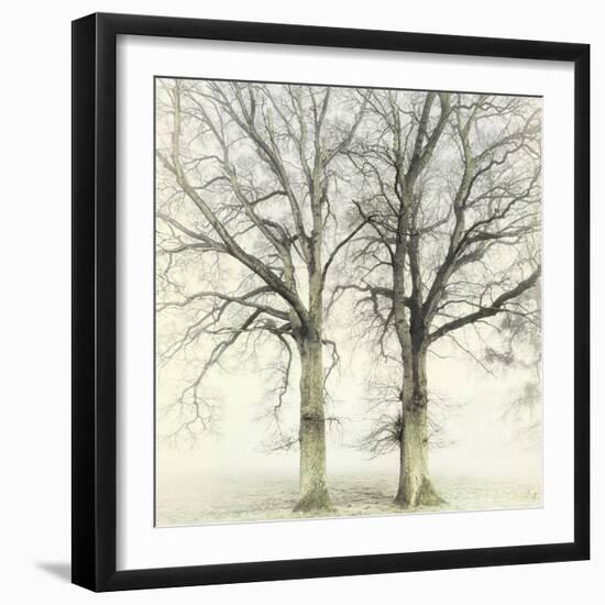 Twin-Viviane Fedieu Daniel-Framed Photographic Print