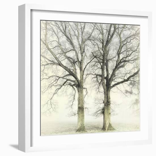 Twin-Viviane Fedieu Daniel-Framed Photographic Print