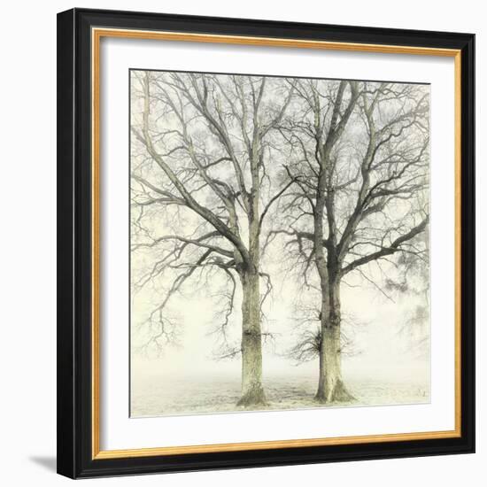 Twin-Viviane Fedieu Daniel-Framed Photographic Print