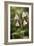 Twinflower (Linnaea Borealis)-Bob Gibbons-Framed Photographic Print