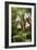 Twinflower (Linnaea Borealis)-Bob Gibbons-Framed Photographic Print