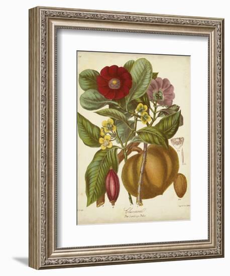 Twining Botanicals I-Elizabeth Twining-Framed Art Print