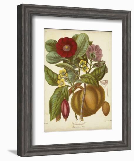 Twining Botanicals I-Elizabeth Twining-Framed Art Print