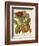 Twining Botanicals I-Elizabeth Twining-Framed Art Print