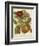 Twining Botanicals I-Elizabeth Twining-Framed Art Print