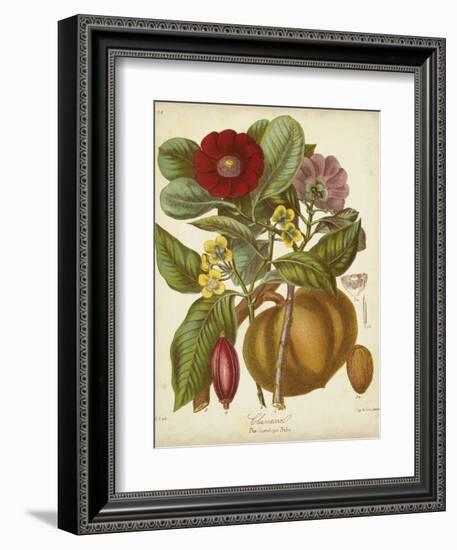 Twining Botanicals I-Elizabeth Twining-Framed Art Print