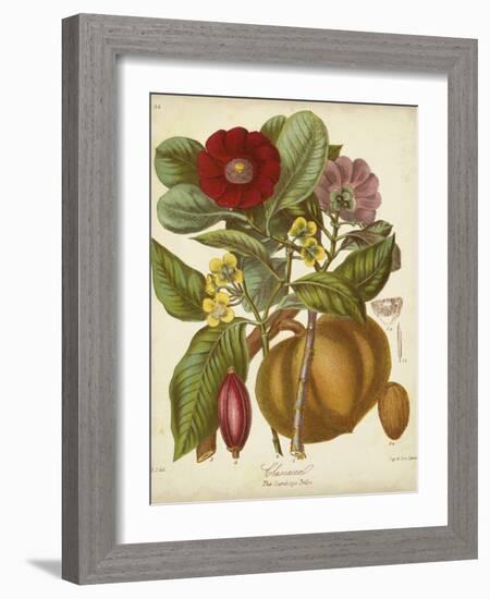 Twining Botanicals I-Elizabeth Twining-Framed Art Print