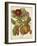 Twining Botanicals I-Elizabeth Twining-Framed Art Print