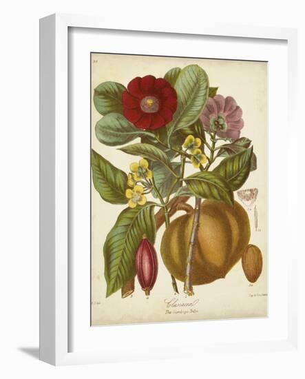 Twining Botanicals I-Elizabeth Twining-Framed Art Print