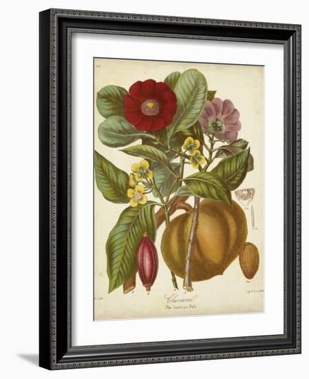 Twining Botanicals I-Elizabeth Twining-Framed Art Print