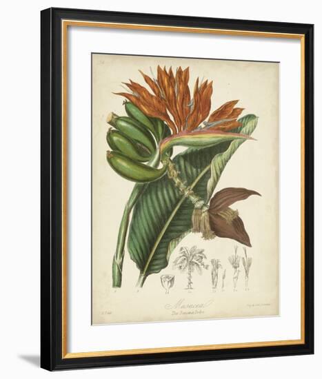 Twining Botanicals III-Elizabeth Twining-Framed Giclee Print