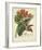 Twining Botanicals III-Elizabeth Twining-Framed Giclee Print