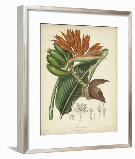 Twining Botanicals III-Elizabeth Twining-Framed Giclee Print