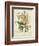 Twining Botanicals VII-Elizabeth Twining-Framed Art Print