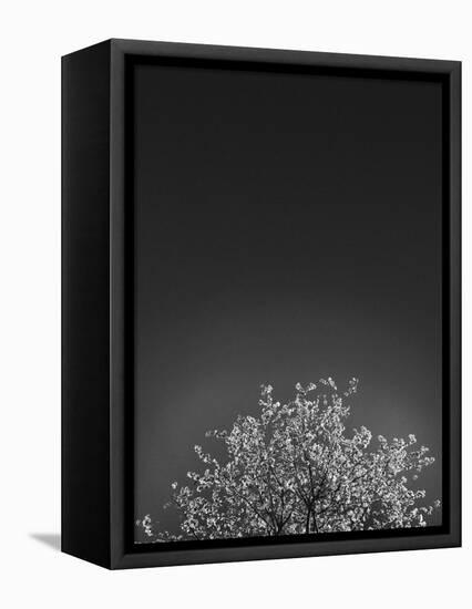 Twinkling Lights 1-Design Fabrikken-Framed Premier Image Canvas