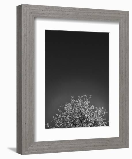 Twinkling Lights 1-Design Fabrikken-Framed Photographic Print