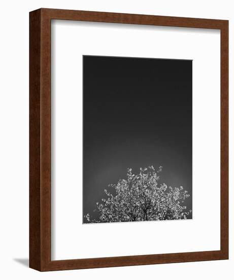 Twinkling Lights 1-Design Fabrikken-Framed Photographic Print